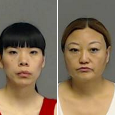 Two arrested after undercover sting at two massage parlors | myfoxzone.com